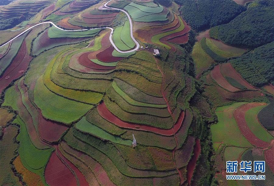 （美麗中國(guó)）（2）飛越東川紅土地