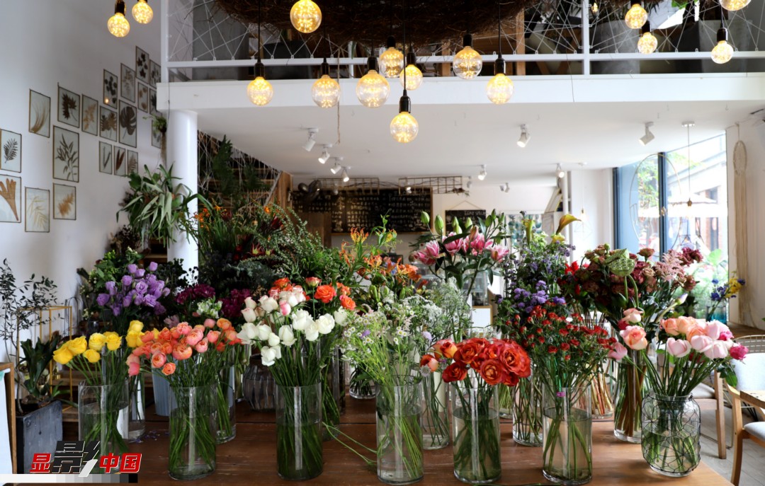 從決定從事鮮花這個行業(yè)以來，王黎媛花了很多的時間和精力去學(xué)習(xí)花藝，不斷提高自己的專業(yè)水平。而在小店的選址、裝修和布置方面，王黎媛同樣花費(fèi)了不少心思，“希望我的小店和鮮花一樣，是有溫度的、鮮活的?！绷硗?，小小的花店也藏著大大的夢想，“我們云南鮮花很多，但真正做成品牌的卻很少，這是非?？上У摹Ｎ蚁Ｍ盐业牡曜龀善放?，不光能扎根昆明，還能落地到云南的其他城市，甚至省外的城市。”圖為王黎媛的花店一角。新華網(wǎng) 周亞平/攝 念新洪/文